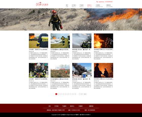 消防网页设计  新闻中心 产品展示 关于我们 详情页 一整套网页设计